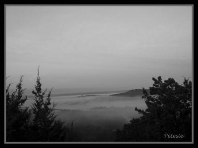 Fog in the Wimberley Valley