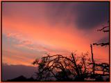 DSCN2663