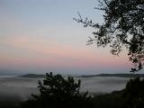 DSCN2818