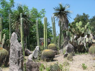 Jardin Mexicain au Los Colomos