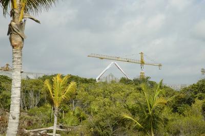 Cranes and a cement pumper growing out of the palms