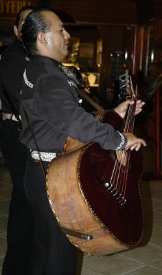The guitarron player for Los Gobernantes