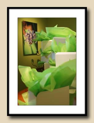 Green  (tissue in boxes)