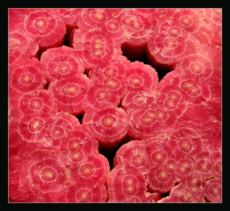 Rhodochrosite (MnCO3) Argentine