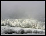 Snow,Ice and Fog