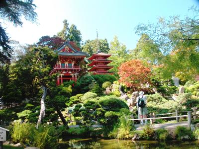 Japanese Tea Garden, San Francisco