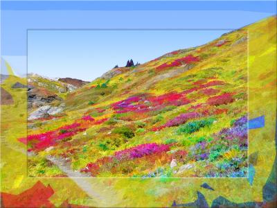 Flowery Hillside