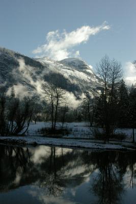 Morning reflection