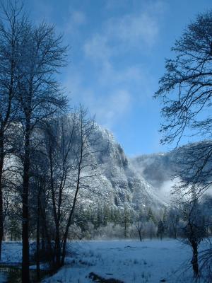 Cold morning