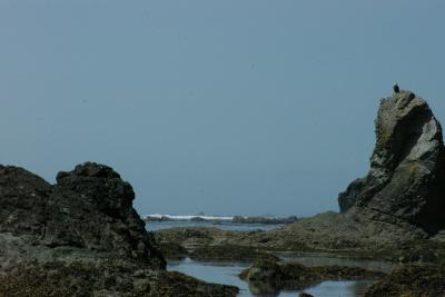 Eagle rock