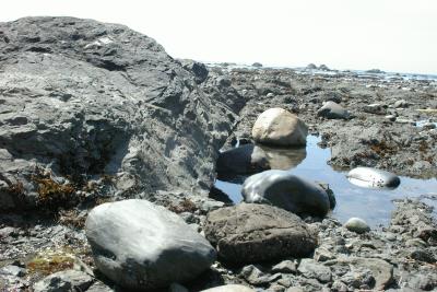 Tidal rocks