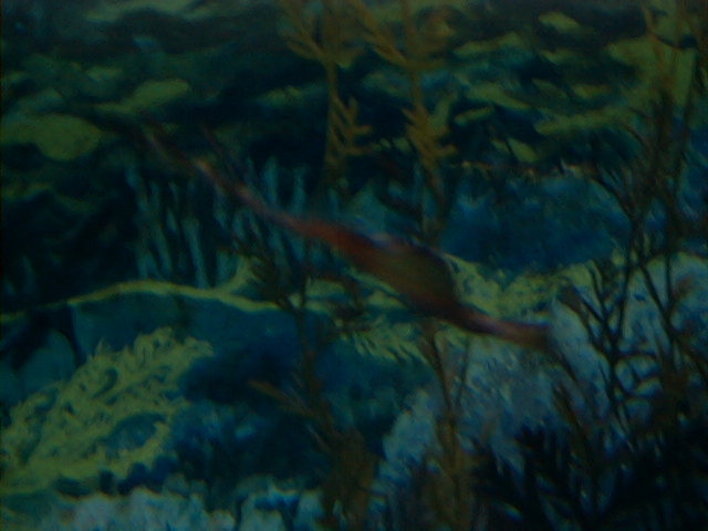 Image21.jpg