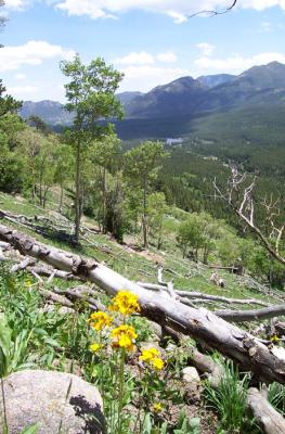 On the Trail to Bierstadt Lake