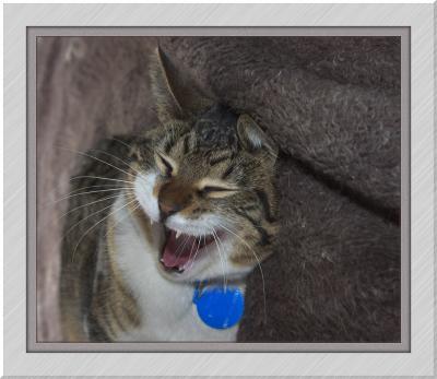 Whats so damn funny.jpg