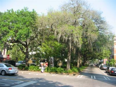 street in Savannah, Georgia