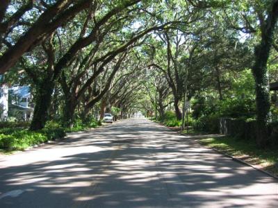 this street was in the National Geographic as one of the most beautiful streets in America