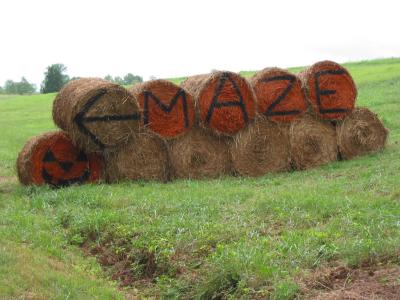 Corn Maze Sept 2002