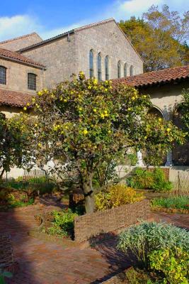 Cloisters-1