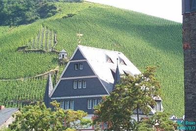 Vineyards at Bernkastel