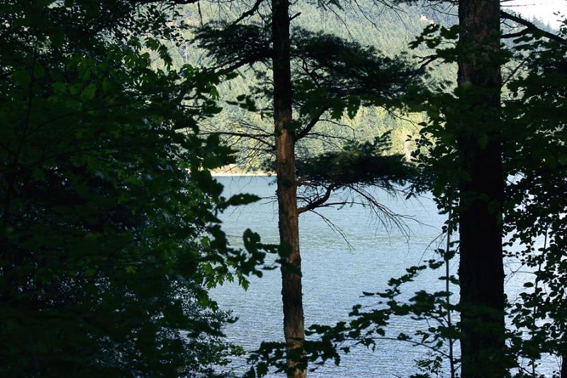 View from the trail