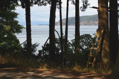 u15/randy3y/medium/4628145.Orcas058.jpg