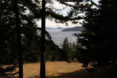 Hiking view
