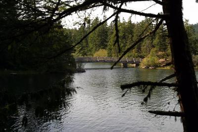 The Bridge