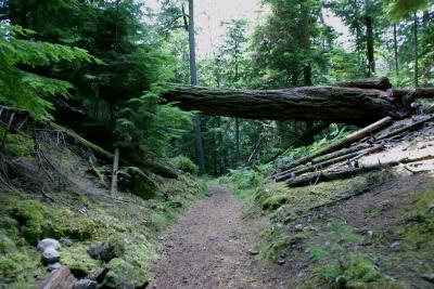 The under path