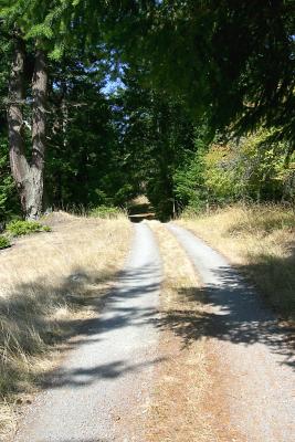 The Real Folly Farm Lane