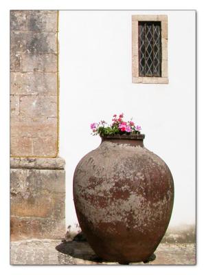 W_Obidos-Pote.jpg