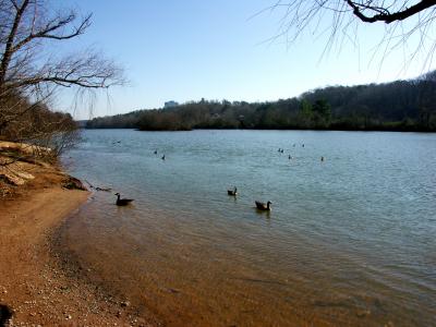 Mid-day on the river.