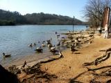 Lunch at the river.