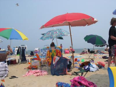 u15/reality_show/medium/42014531.BeachUmbrella.jpg