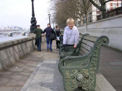 Swan arms on the park bench