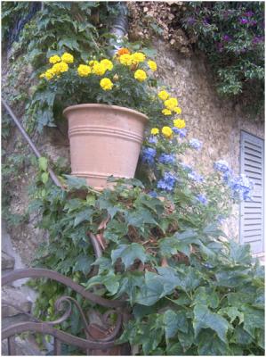 Flower Pot (Mougins)