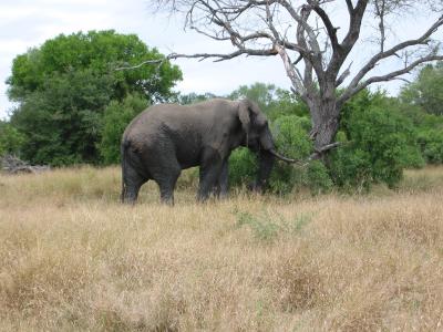 South Africa