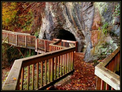 Cave Springs Walk.jpg