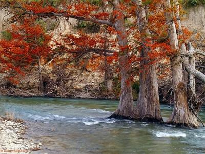 Fall In The River