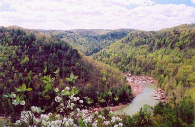 Gauley River Spring at Pillow Falls EN tb0405.jpg