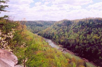 Gauley River Spring East View Ovlook EN tb0405.jpg