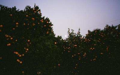 Moon and Oranges, valle de lecrin