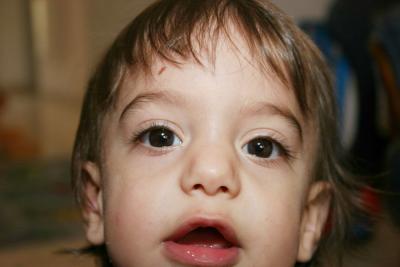 IMG_0775_resize.JPG