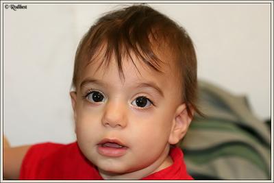 IMG_3305F_resize.jpg