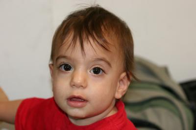 IMG_3305_resize.JPG