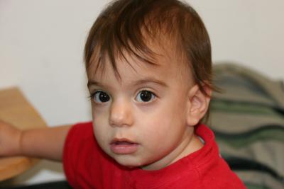 IMG_3306_resize.JPG
