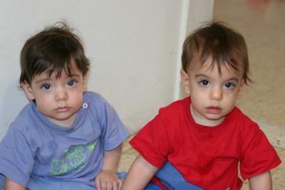 IMG_3309_resize.JPG