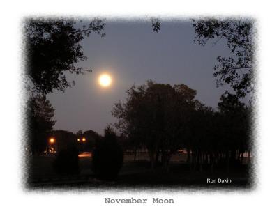 November Moon