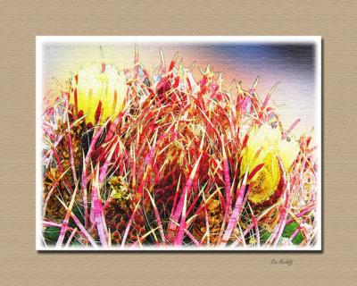 Barrel cactus flower II