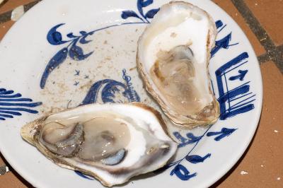 malpeque oysters 2
