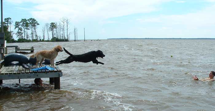 Tobys big jump